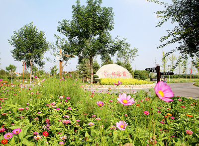 枫林庄园园区提升改造